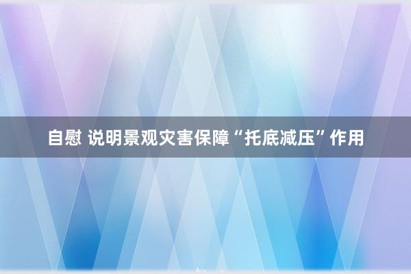 自慰 说明景观灾害保障“托底减压”作用