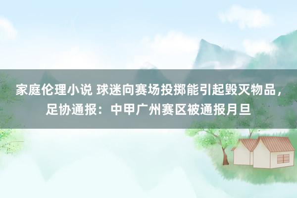 家庭伦理小说 球迷向赛场投掷能引起毁灭物品,足协通报:中甲广州赛区被通报月旦
