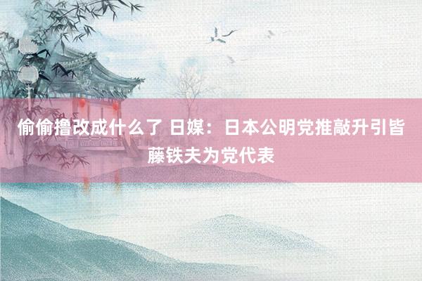 偷偷撸改成什么了 日媒：日本公明党推敲升引皆藤铁夫为党代表