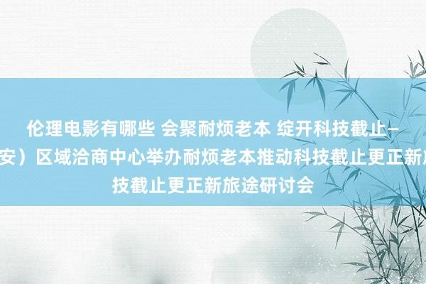 伦理电影有哪些 会聚耐烦老本 绽开科技截止——南财（西安）区域洽商中心举办耐烦老本推动科技截止更正新旅途研讨会