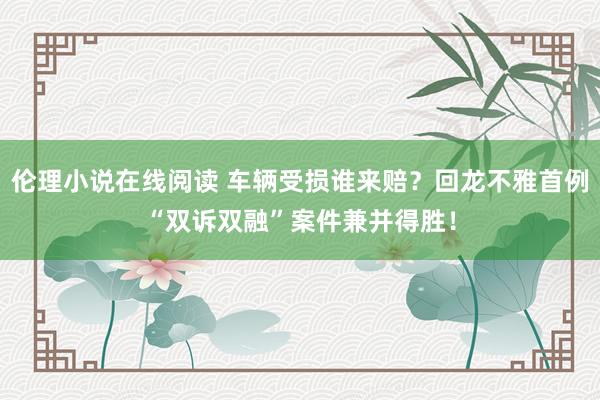伦理小说在线阅读 车辆受损谁来赔？回龙不雅首例“双诉双融”案件兼并得胜！