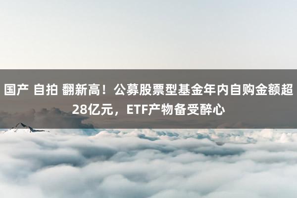 国产 自拍 翻新高！公募股票型基金年内自购金额超28亿元，ETF产物备受醉心