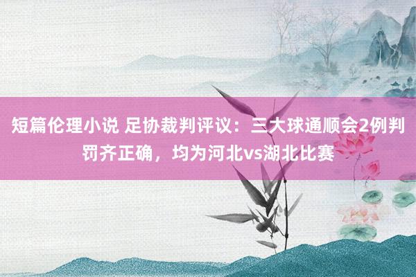 短篇伦理小说 足协裁判评议：三大球通顺会2例判罚齐正确，均为河北vs湖北比赛