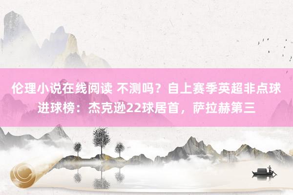 伦理小说在线阅读 不测吗？自上赛季英超非点球进球榜：杰克逊22球居首，萨拉赫第三