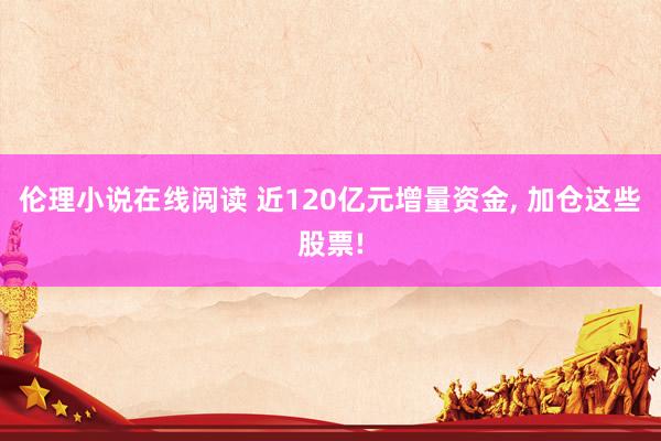伦理小说在线阅读 近120亿元增量资金， 加仓这些股票!
