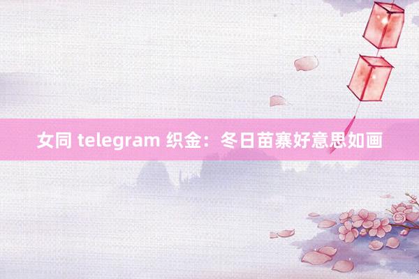 女同 telegram 织金：冬日苗寨好意思如画