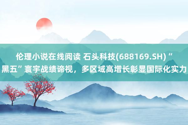 伦理小说在线阅读 石头科技(688169.SH)“黑五”寰宇战绩谛视，多区域高增长彰显国际化实力