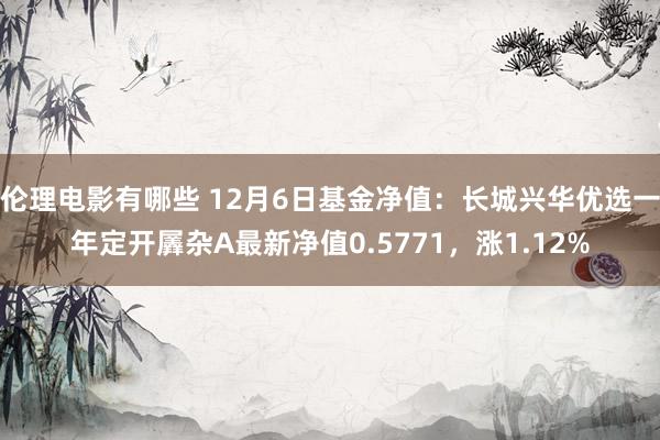 伦理电影有哪些 12月6日基金净值：长城兴华优选一年定开羼杂A最新净值0.5771，涨1.12%