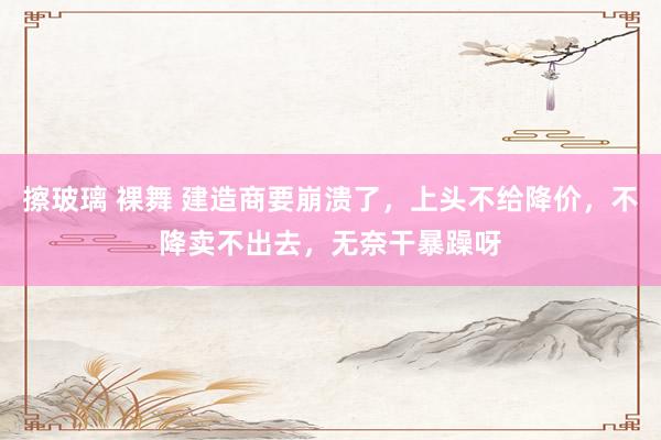擦玻璃 裸舞 建造商要崩溃了，上头不给降价，不降卖不出去，无奈干暴躁呀