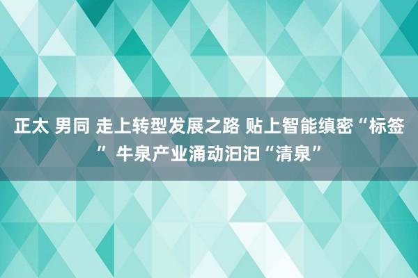 正太 男同 走上转型发展之路 贴上智能缜密“标签” 牛泉产业涌动汩汩“清泉”