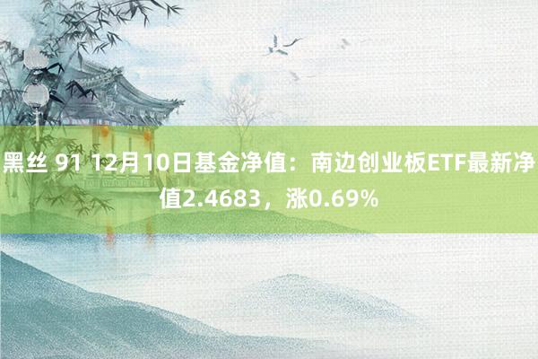 黑丝 91 12月10日基金净值：南边创业板ETF最新净值2.4683，涨0.69%