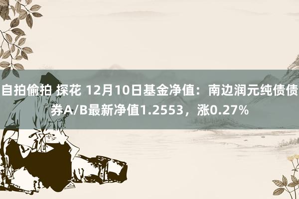 自拍偷拍 探花 12月10日基金净值：南边润元纯债债券A/B最新净值1.2553，涨0.27%