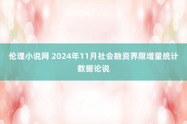 伦理小说网 2024年11月社会融资界限增量统计数据论说