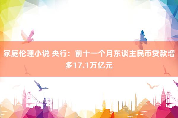 家庭伦理小说 央行：前十一个月东谈主民币贷款增多17.1万亿元