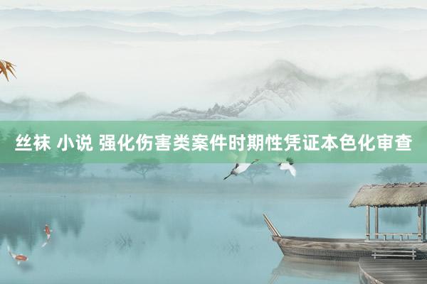 丝袜 小说 强化伤害类案件时期性凭证本色化审查