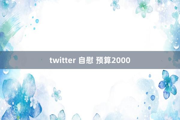 twitter 自慰 预算2000