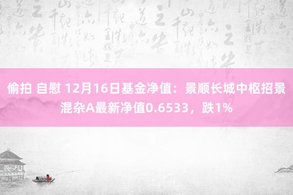 偷拍 自慰 12月16日基金净值：景顺长城中枢招景混杂A最新净值0.6533，跌1%