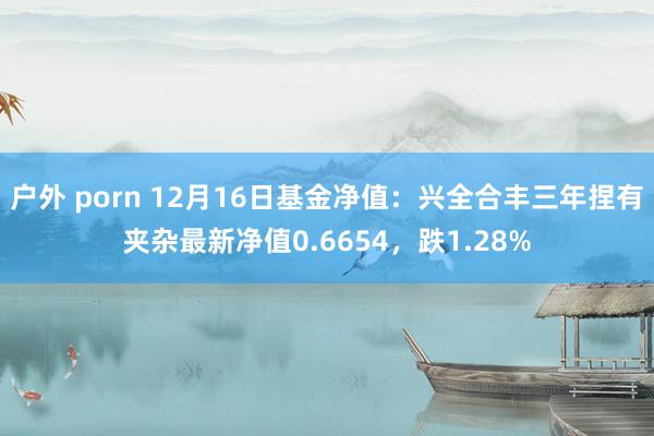 户外 porn 12月16日基金净值：兴全合丰三年捏有夹杂最新净值0.6654，跌1.28%