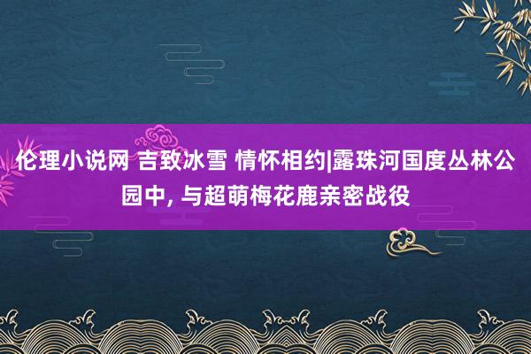 伦理小说网 吉致冰雪 情怀相约|露珠河国度丛林公园中， 与超萌梅花鹿亲密战役