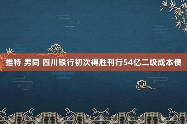 推特 男同 四川银行初次得胜刊行54亿二级成本债