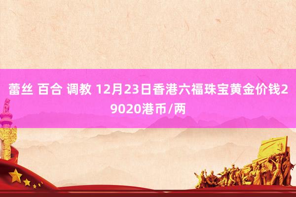 蕾丝 百合 调教 12月23日香港六福珠宝黄金价钱29020港币/两