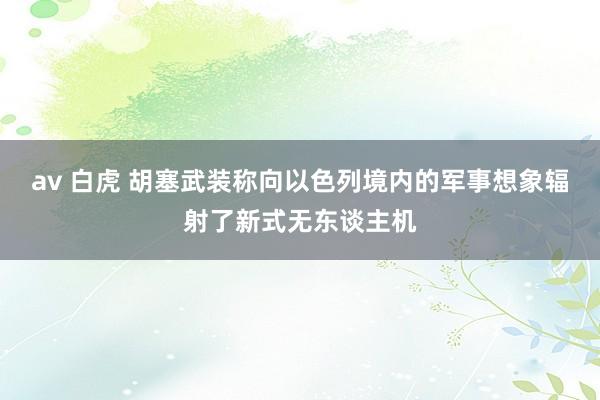 av 白虎 胡塞武装称向以色列境内的军事想象辐射了新式无东谈主机