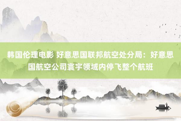 韩国伦理电影 好意思国联邦航空处分局：好意思国航空公司寰宇领域内停飞整个航班