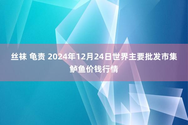 丝袜 龟责 2024年12月24日世界主要批发市集鲈鱼价钱行情