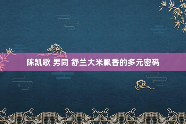 陈凯歌 男同 舒兰大米飘香的多元密码