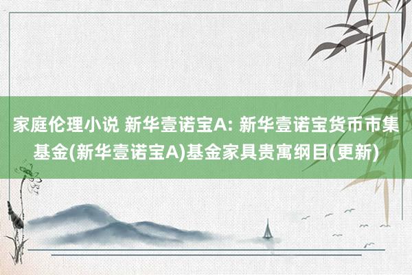 家庭伦理小说 新华壹诺宝A: 新华壹诺宝货币市集基金(新华壹诺宝A)基金家具贵寓纲目(更新)