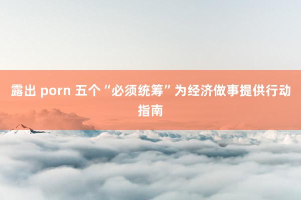 露出 porn 五个“必须统筹”为经济做事提供行动指南