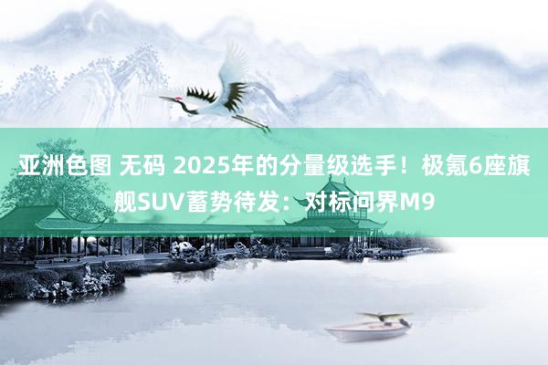 亚洲色图 无码 2025年的分量级选手！极氪6座旗舰SUV蓄势待发：对标问界M9