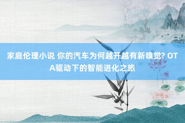 家庭伦理小说 你的汽车为何越开越有新嗅觉? OTA驱动下的智能进化之旅