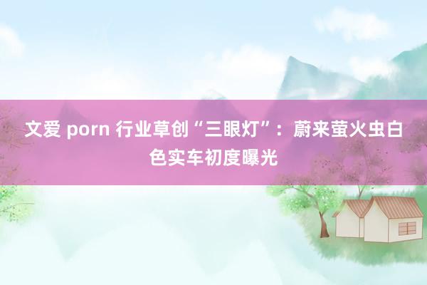 文爱 porn 行业草创“三眼灯”：蔚来萤火虫白色实车初度曝光