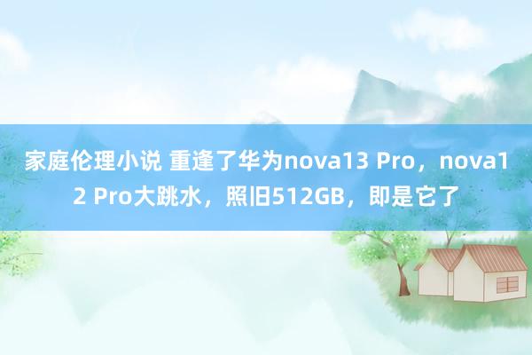 家庭伦理小说 重逢了华为nova13 Pro，nova12 Pro大跳水，照旧512GB，即是它了