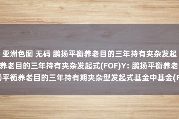 亚洲色图 无码 鹏扬平衡养老目的三年持有夹杂发起式(FOF)A,鹏扬平衡养老目的三年持有夹杂发起式(FOF)Y: 鹏扬平衡养老目的三年持有期夹杂型发起式基金中基金(FOF)风险揭示书