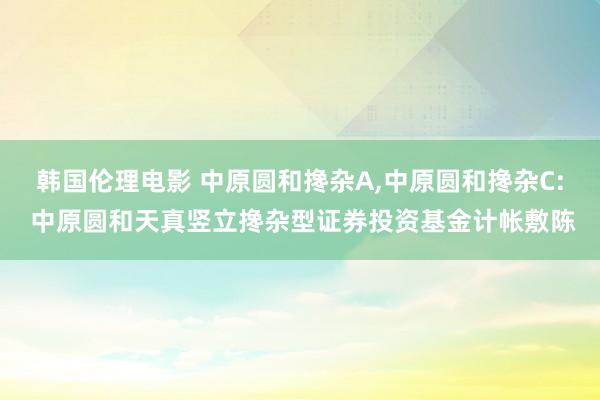 韩国伦理电影 中原圆和搀杂A,中原圆和搀杂C: 中原圆和天真竖立搀杂型证券投资基金计帐敷陈
