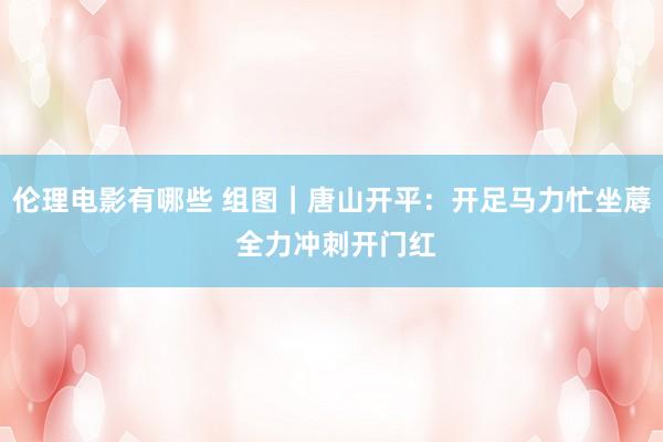 伦理电影有哪些 组图｜唐山开平：开足马力忙坐蓐 全力冲刺开门红