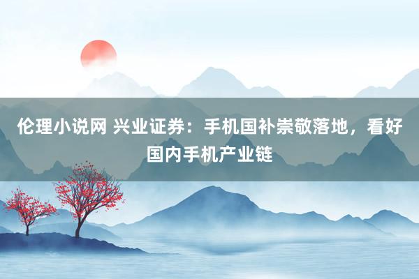 伦理小说网 兴业证券：手机国补崇敬落地，看好国内手机产业链