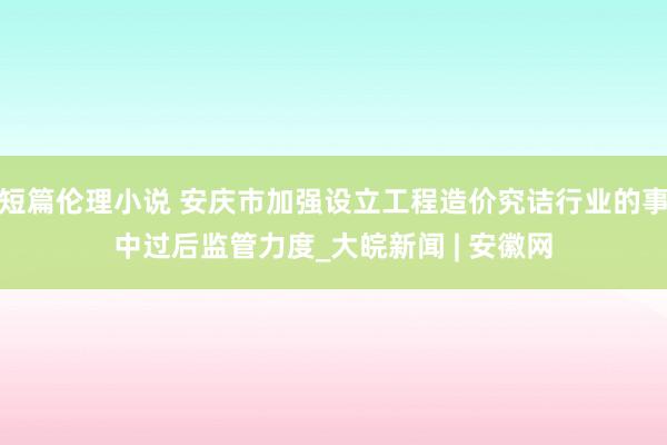短篇伦理小说 安庆市加强设立工程造价究诘行业的事中过后监管力度_大皖新闻 | 安徽网