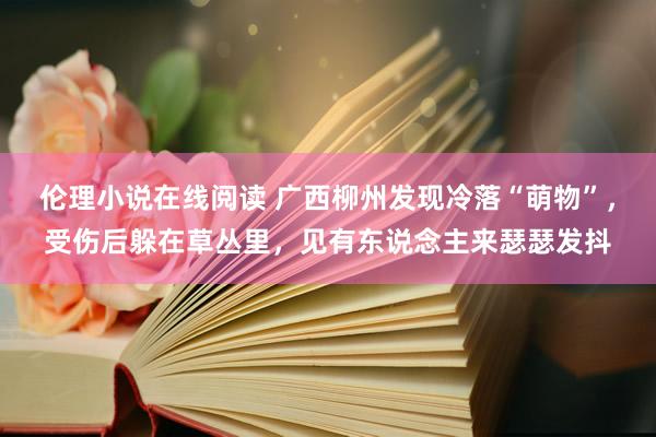伦理小说在线阅读 广西柳州发现冷落“萌物”，受伤后躲在草丛里，见有东说念主来瑟瑟发抖