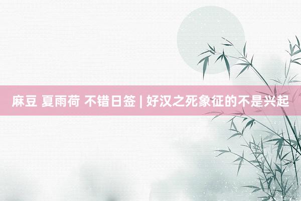 麻豆 夏雨荷 不错日签 | 好汉之死象征的不是兴起