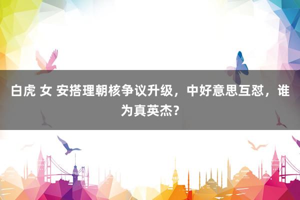 白虎 女 安搭理朝核争议升级，中好意思互怼，谁为真英杰？