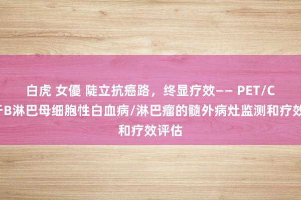 白虎 女優 陡立抗癌路，终显疗效—— PET/CT用于B淋巴母细胞性白血病/淋巴瘤的髓外病灶监测和疗效评估