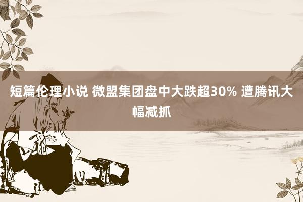 短篇伦理小说 微盟集团盘中大跌超30% 遭腾讯大幅减抓