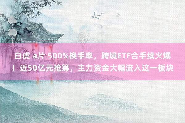 白虎 a片 500%换手率，跨境ETF合手续火爆！近50亿元抢筹，主力资金大幅流入这一板块