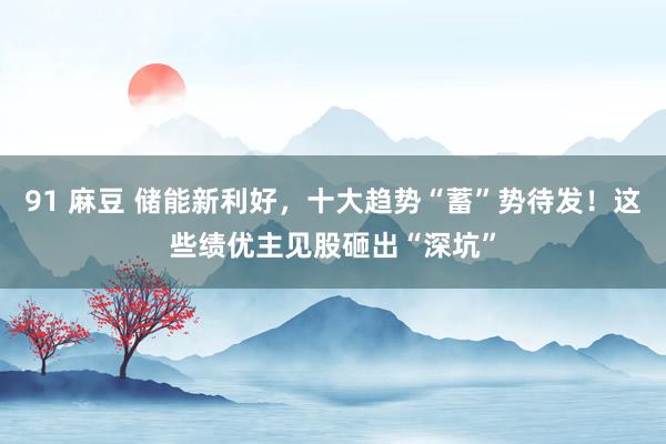 91 麻豆 储能新利好，十大趋势“蓄”势待发！这些绩优主见股砸出“深坑”