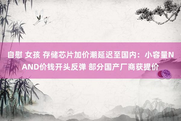 自慰 女孩 存储芯片加价潮延迟至国内：小容量NAND价钱开头反弹 部分国产厂商获提价