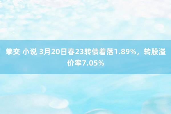 拳交 小说 3月20日春23转债着落1.89%,转股溢价率7.05%