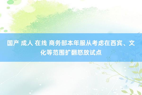 国产 成人 在线 商务部本年服从考虑在西宾、文化等范围扩翻怒放试点